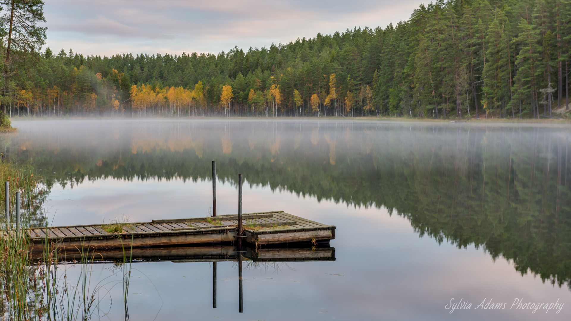 amazing nature scandinavia
