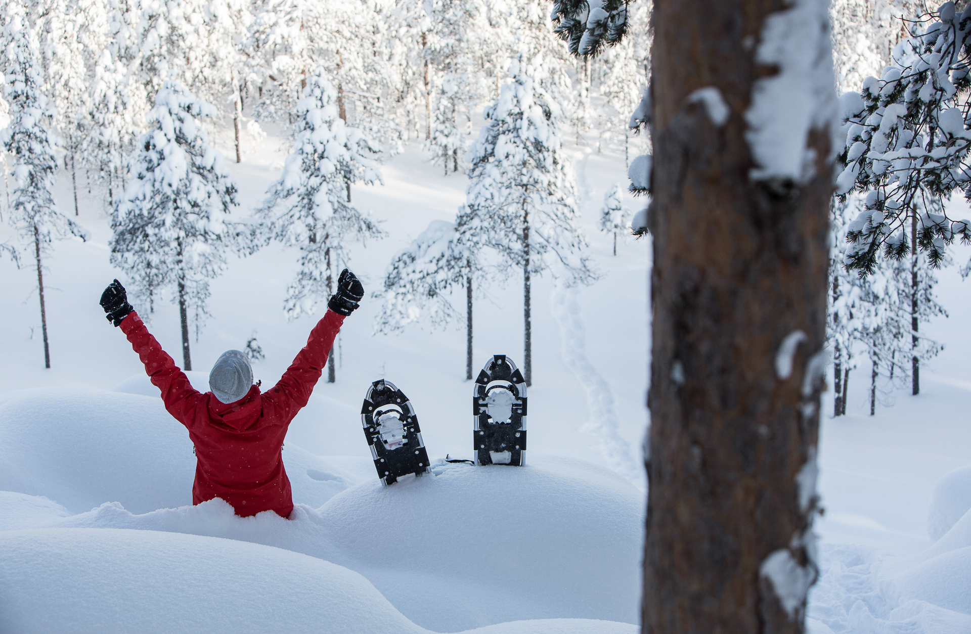 Unique 5 Day Winter Holiday In Swedish Lapland Amazing Nature Scandinavia